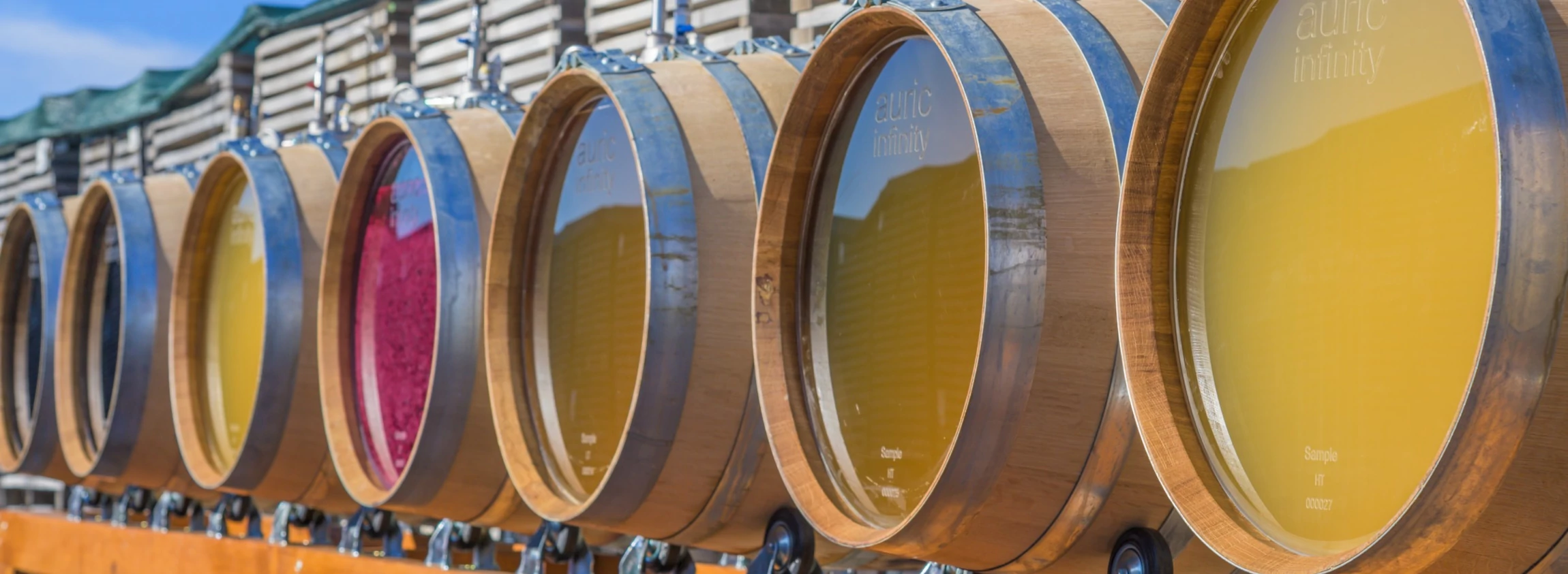 auric infinity technology